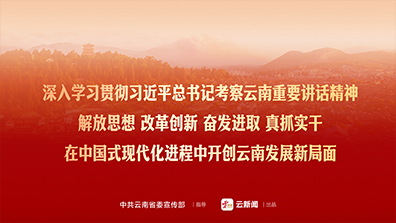 深入学习贯彻习近平总书记考察云南重要讲话精神