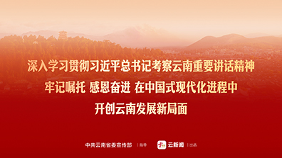 深入学习贯彻习近平总书记考察云南重要讲话精神