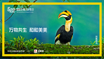 国际生物多样性日