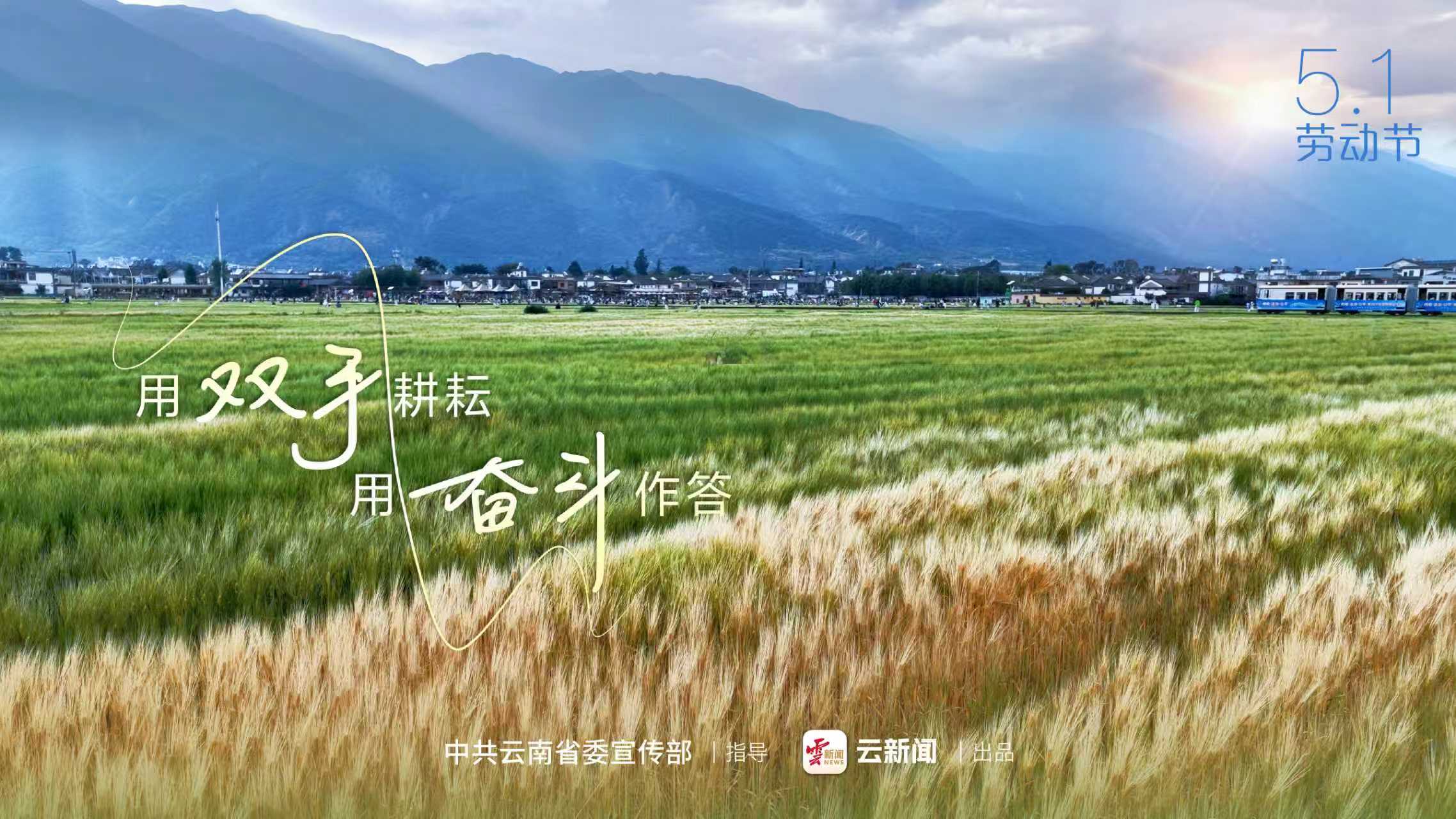 图片详情页