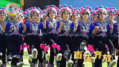百花齐放