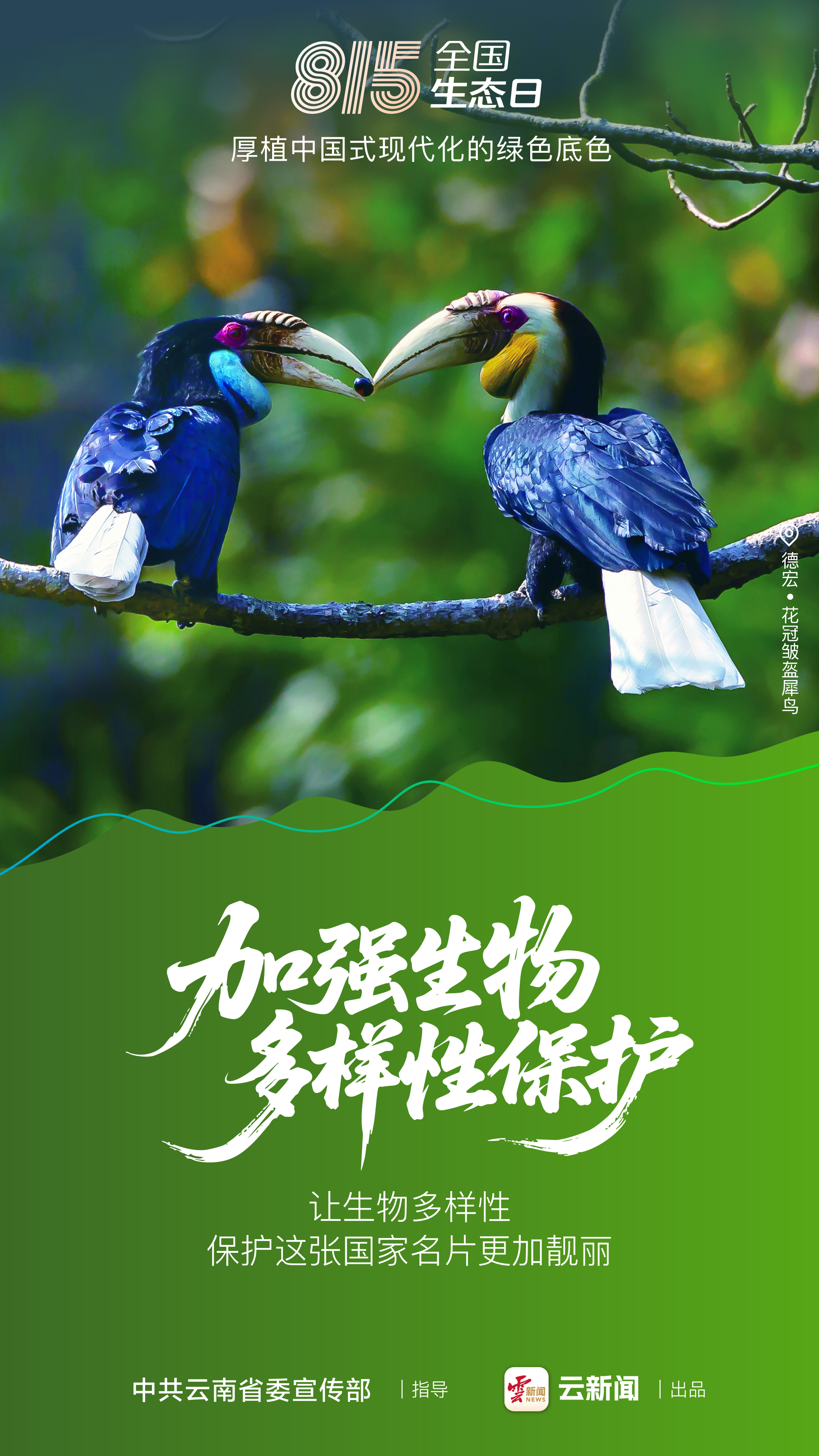 图片详情页