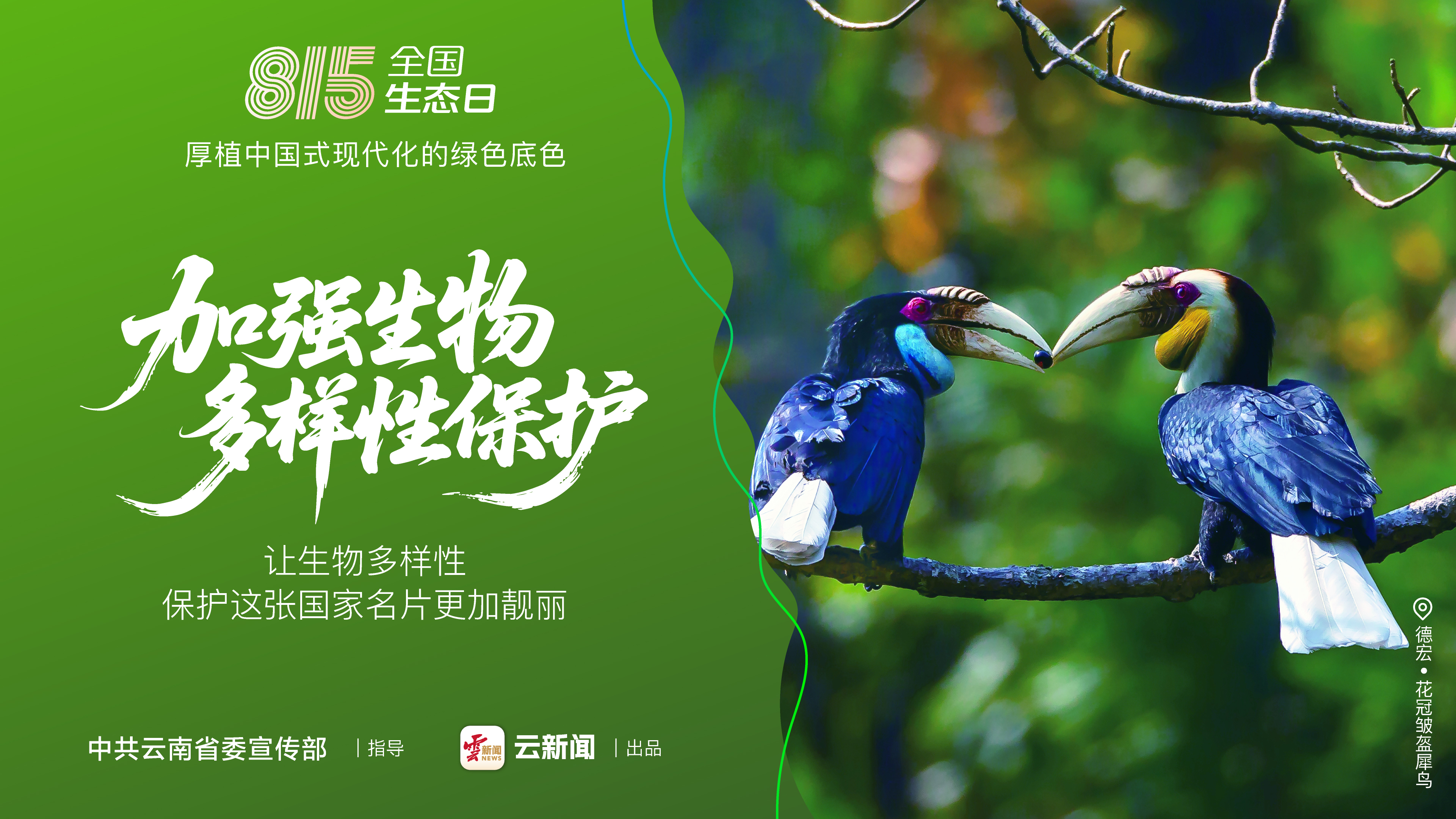 图片详情页