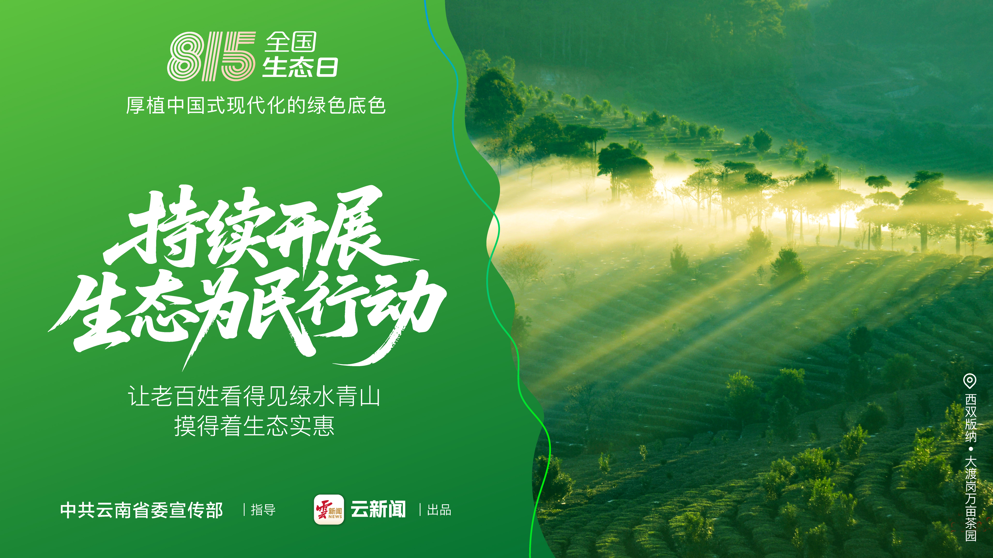 图片详情页